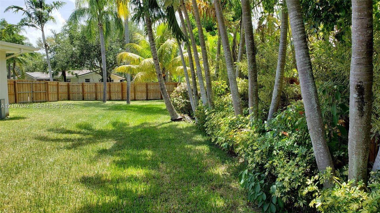 Expansive lawn bordered by a wood privacy fence and mature palm trees