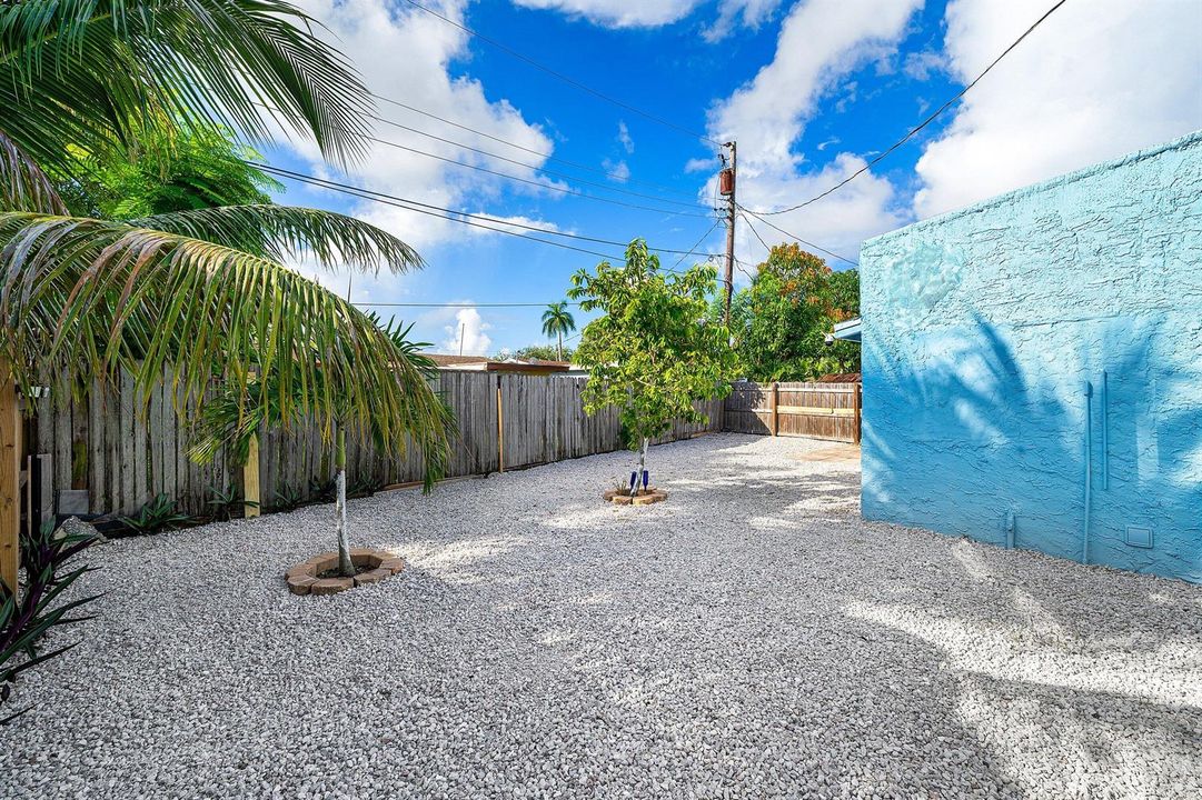 Back Yard