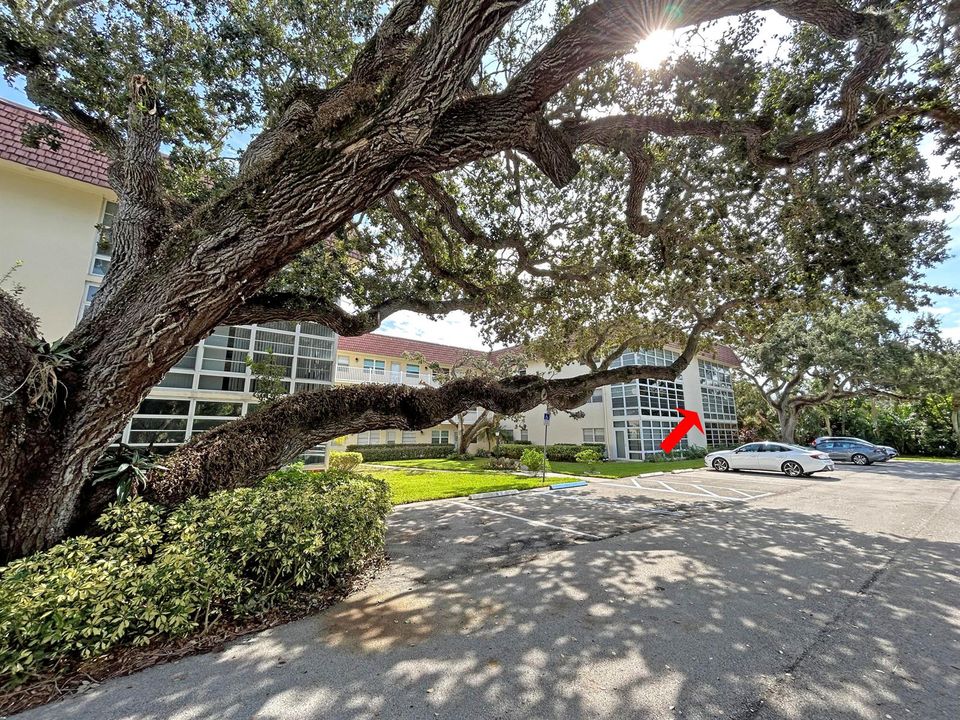 31-Front Parking Lot