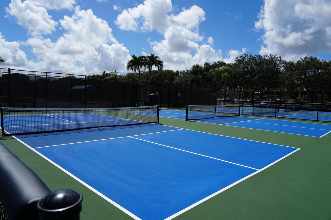 Pickleball(1)