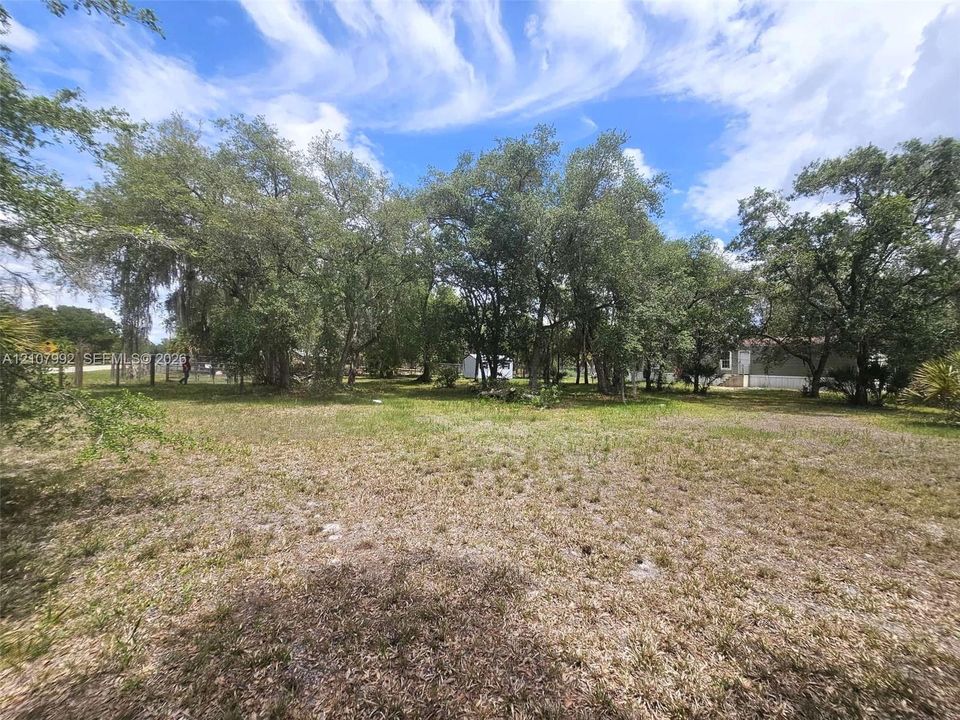 Expansive lot featuring mature shade trees and open grass area