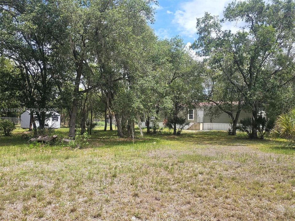 Expansive lot featuring mature trees, natural vegetation, a detached storage structure, and horizontal exterior siding