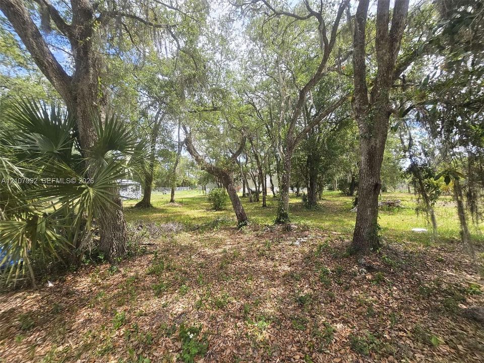 Expansive, partially wooded lot featuring mature oak trees and native palms