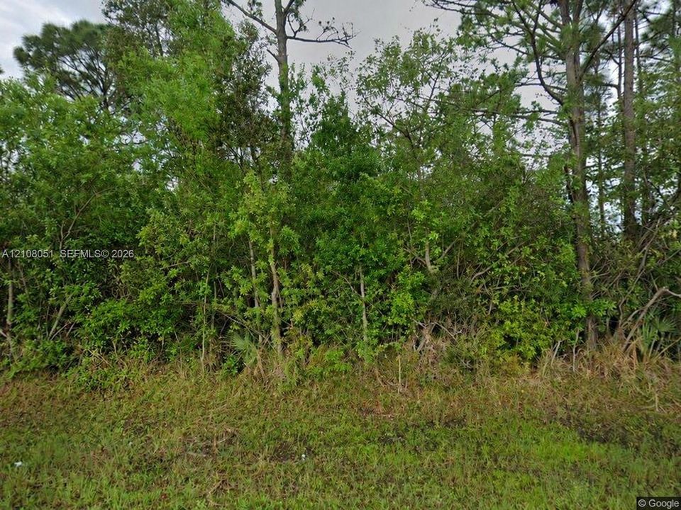 Wooded lot featuring mature pine trees, native vegetation, and established ground cover