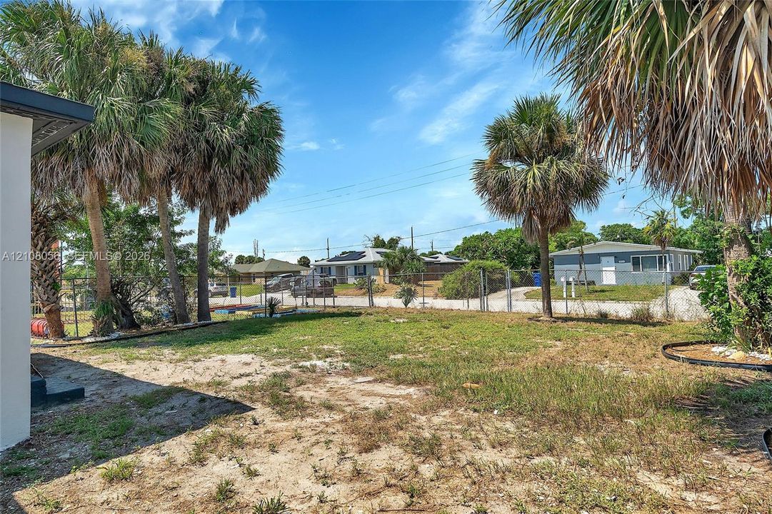Open-space backyard featuring mature palm trees, perimeter chain-link fencing, and a combination of grass and sand ground cover