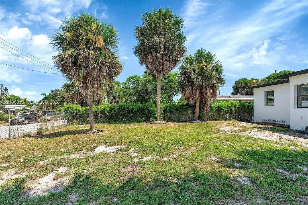 Open backyard featuring established palm trees and perimeter hedge fencing