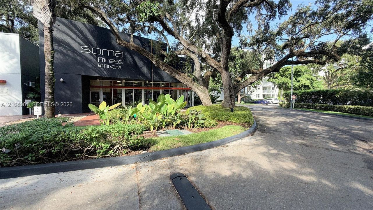 Fitness facility exterior featuring a charcoal-toned facade, expansive glass storefront windows, mature canopy trees, and manicured tropical landscaping