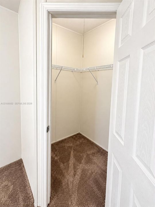 Walk-in storage space featuring wall-to-wall carpeting and wire shelving