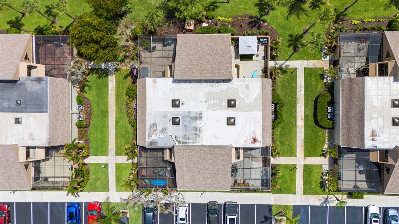 Overhead View