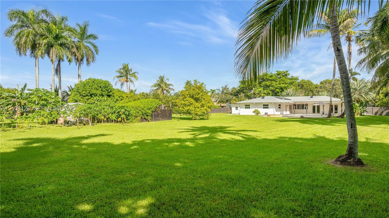 Expansive rear grounds featuring a manicured lawn, established palm trees, and mature landscaping