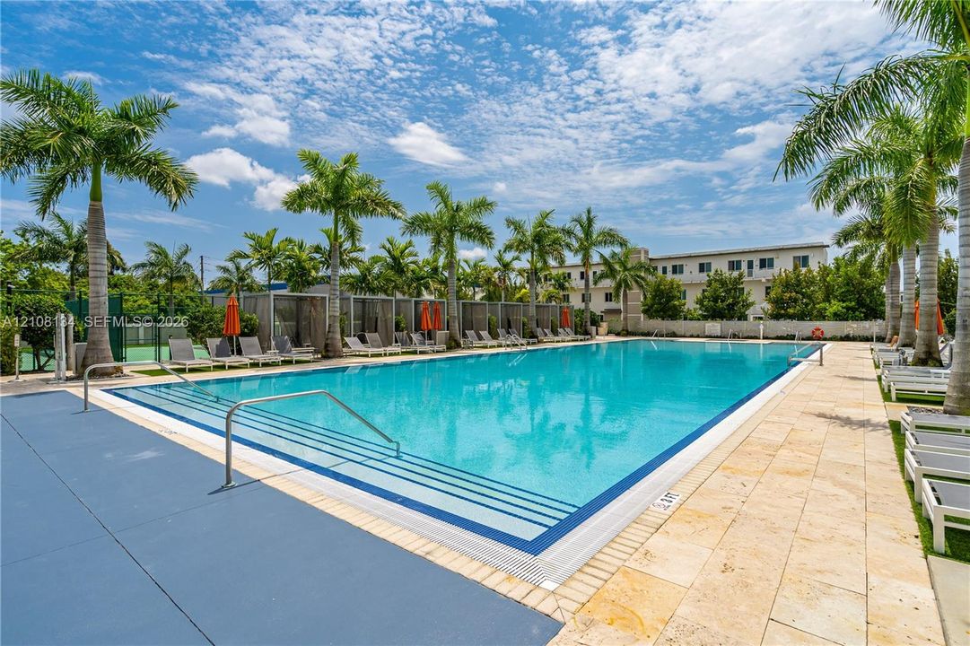 Rectangular swimming pool featuring integrated stair entry, light-toned stone paver decking, and mature palm trees