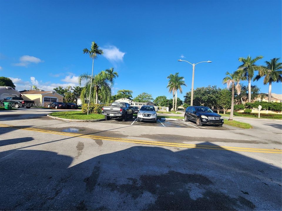 Designated surface parking area featuring marked spaces, asphalt paving, and mature palm trees