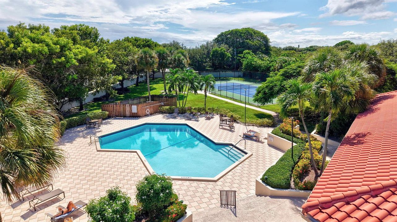 Pool #1