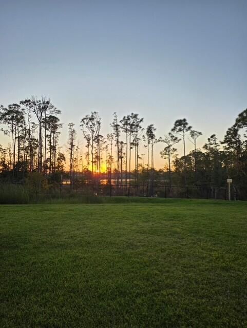 ___Sunset