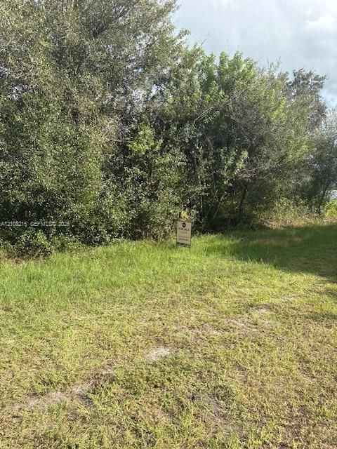 Parcel of land featuring native grasses and mature perimeter vegetation
