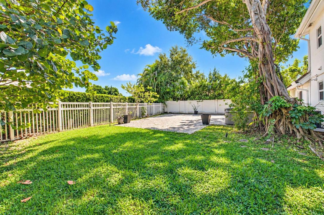 Backyard
