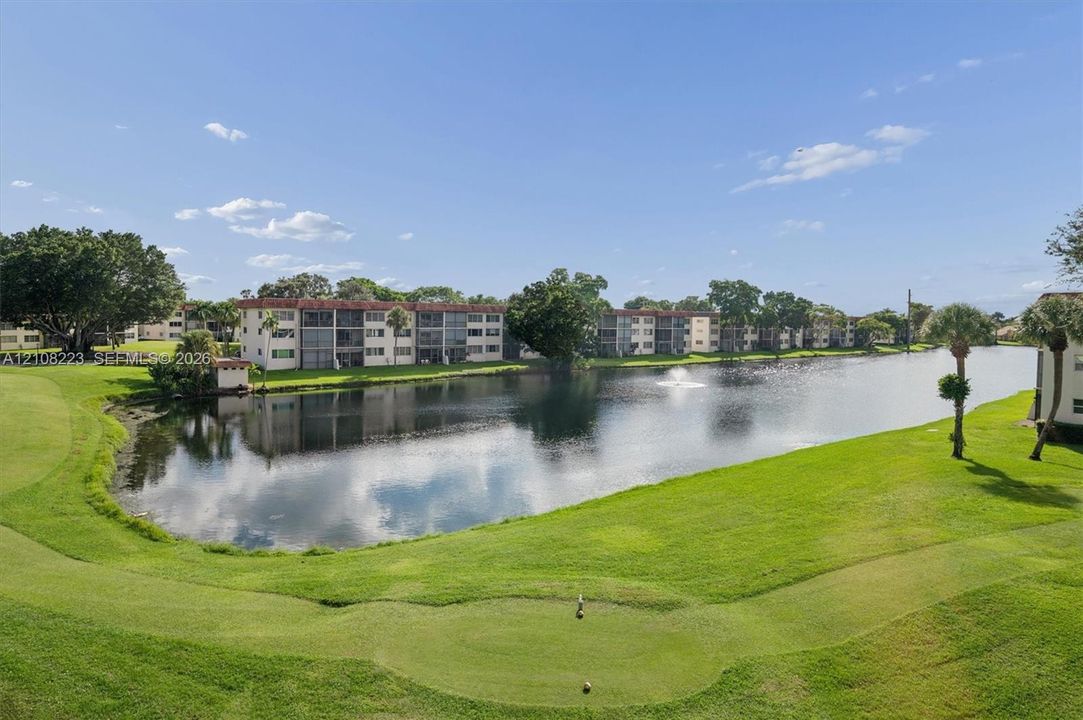 Waterfront landscape featuring a pond, fountain, manicured lawn, mature trees, and palm trees
