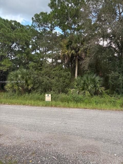 Vacant parcel featuring mature pine trees, native palmetto palms, and established vegetation