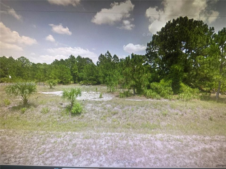 Open parcel of land featuring native vegetation, mature pine trees, and sandy soil topography