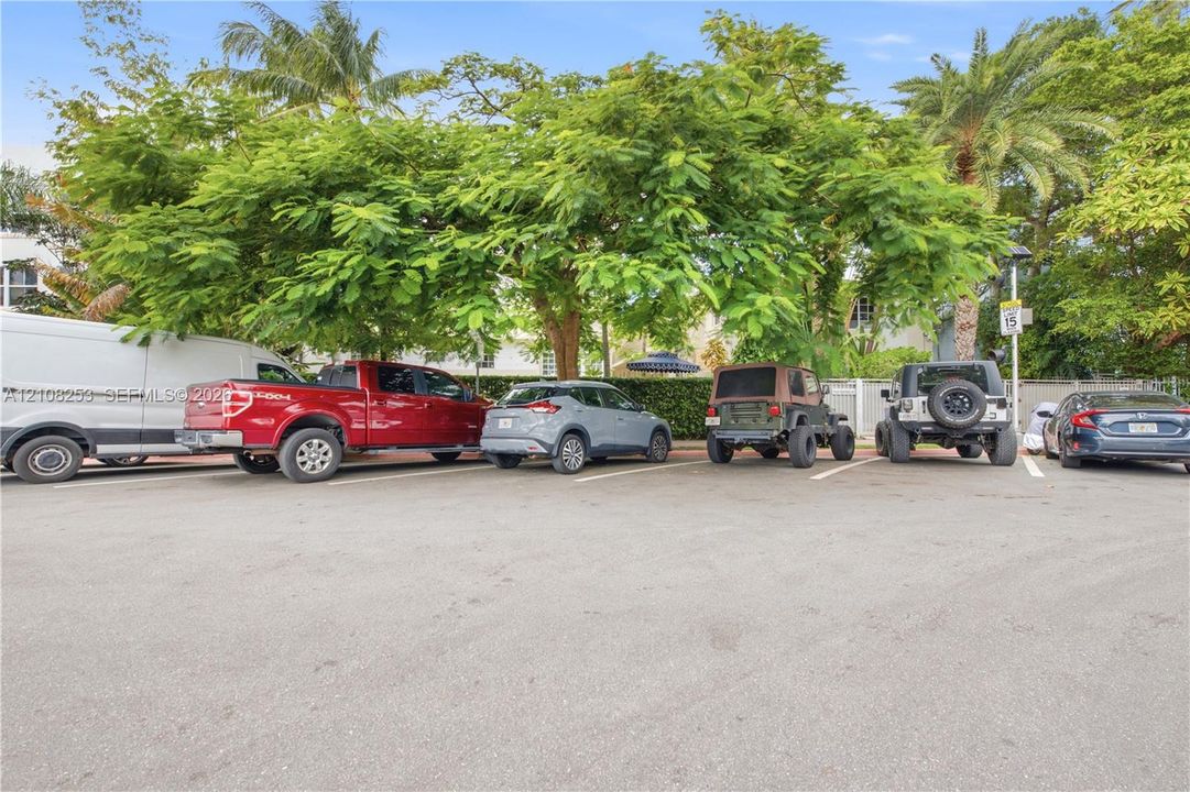 Asphalt parking area featuring marked spaces, perimeter privacy hedging, and mature canopy trees