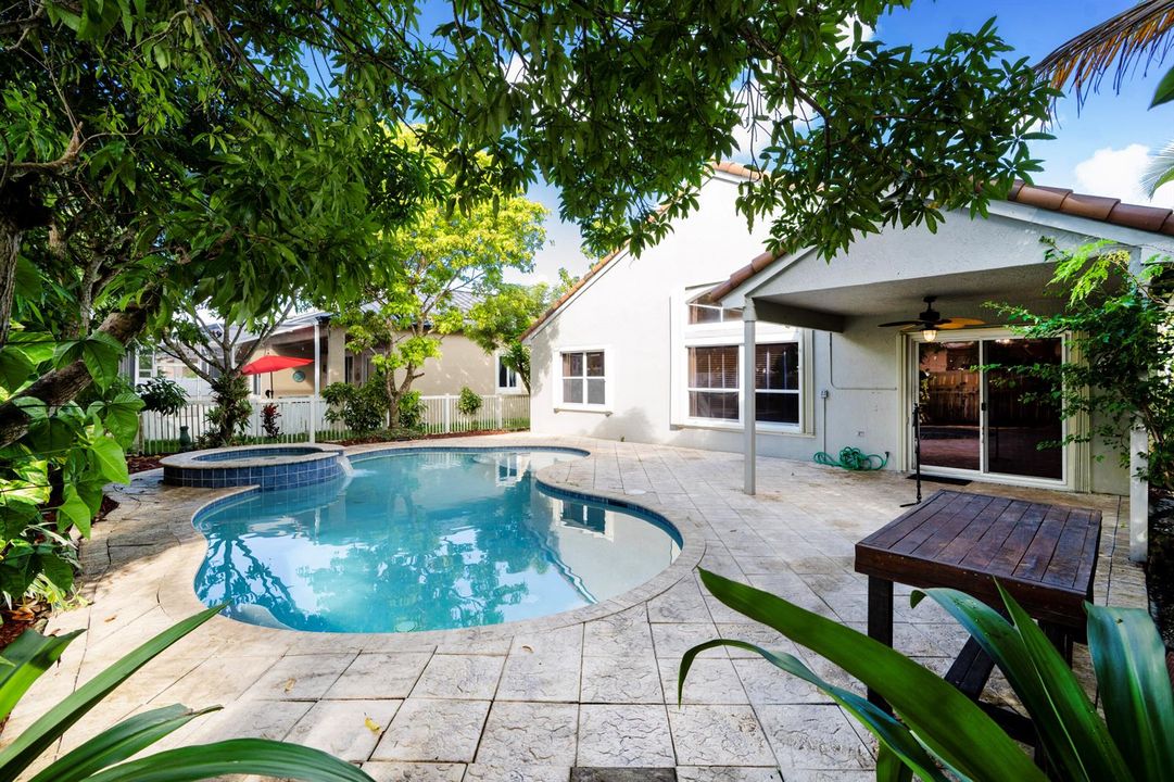 Pic.... (8)