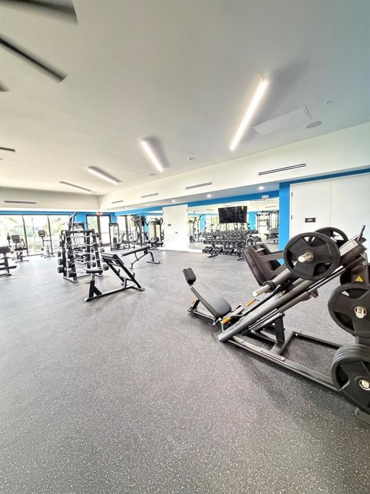 Fitness center featuring durable rubberized flooring, linear LED lighting, and expansive wall-to-wall mirrors