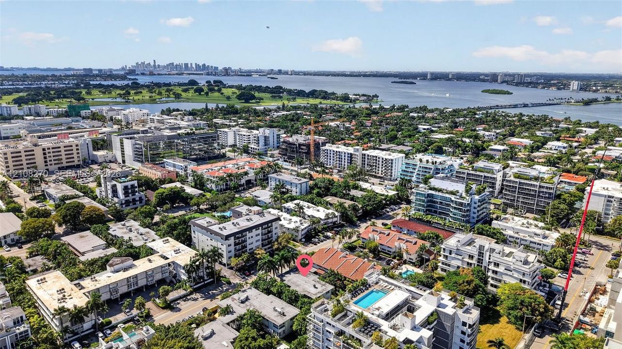 Aerial perspective of coastal neighborhood featuring mature palm trees and proximity to open water