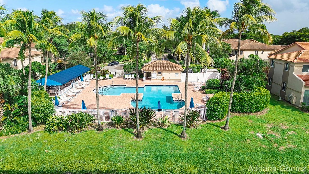 Outdoor swimming pool with brick-paver decking, covered pavilion, manicured landscaping, and tall palm trees