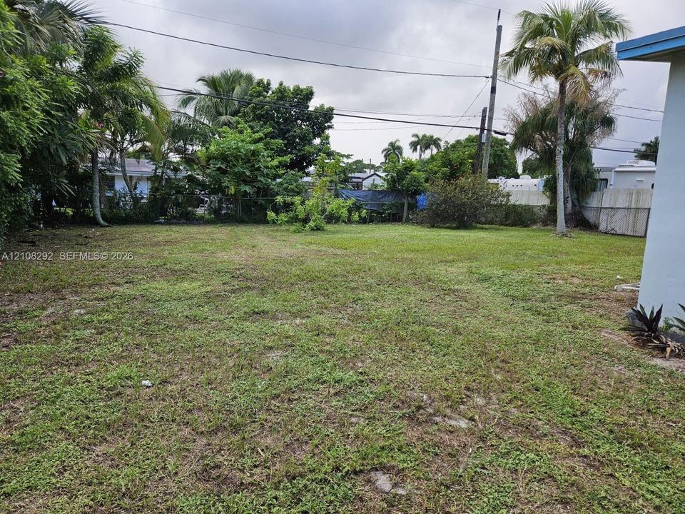 Expansive backyard featuring mature palms, established landscaping, and perimeter fencing