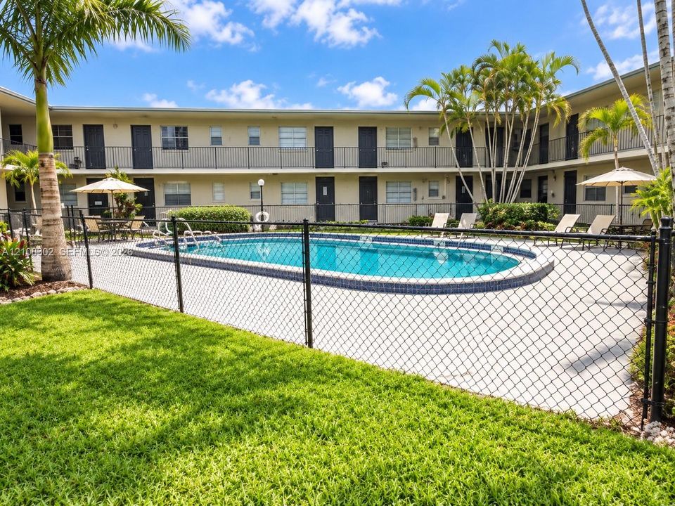 In-ground swimming pool featuring a tiled waterline, surrounded by a concrete deck, manicured lawn, and mature palm trees