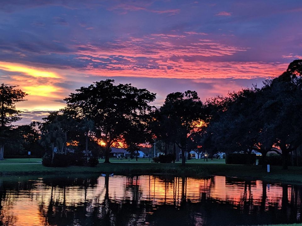 Sunset 1