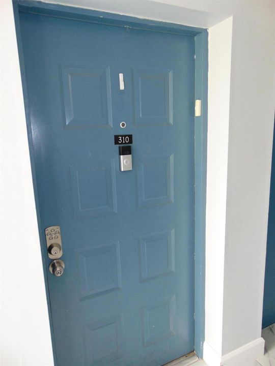 APT 310