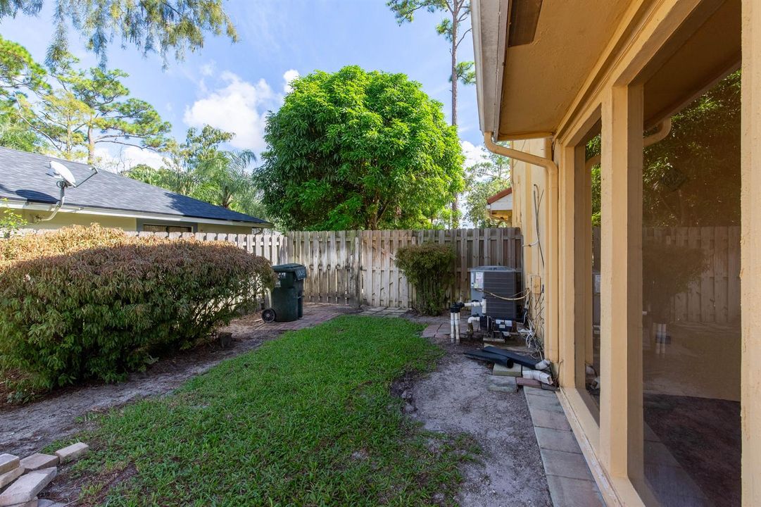 Back yard
