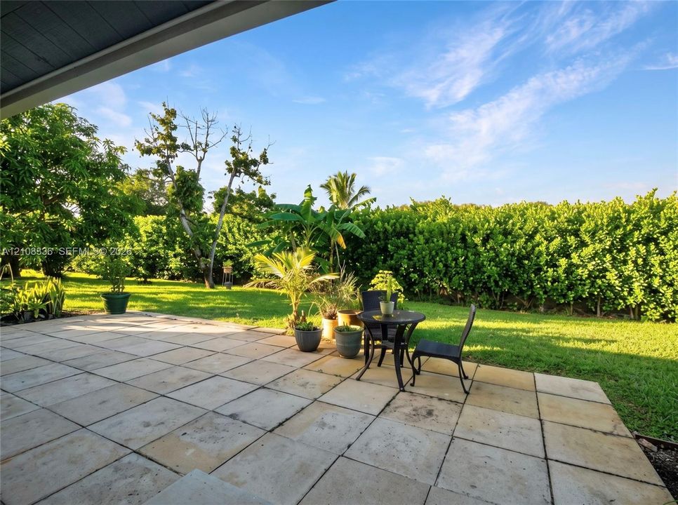 Covered patio featuring large-format stone pavers, manicured lawn, and mature privacy hedging