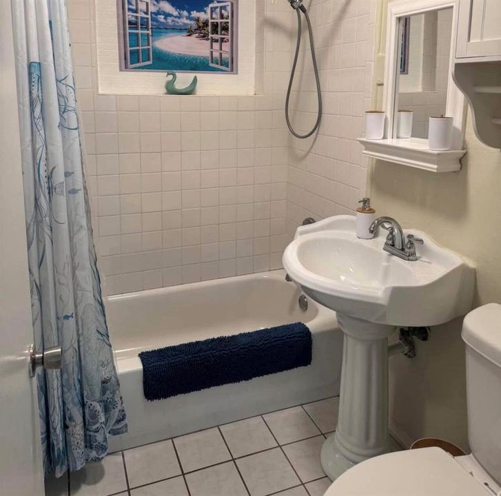Main Bathroom Guest