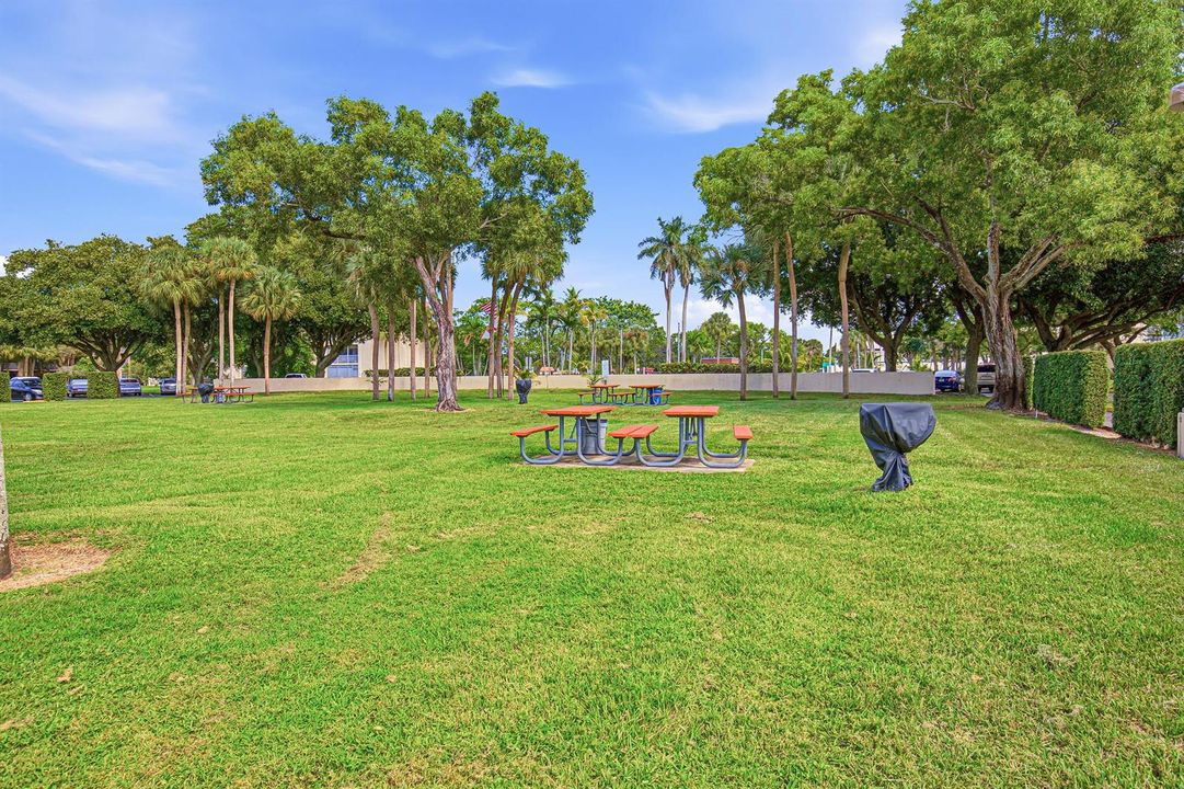 31-Picnic Area