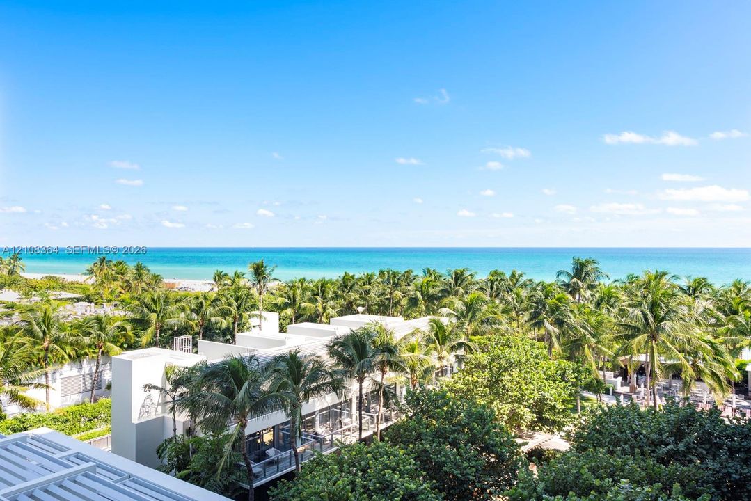 Oceanfront exterior featuring expansive canopy of mature palm trees, multi-level modern architecture, and clear horizon line
