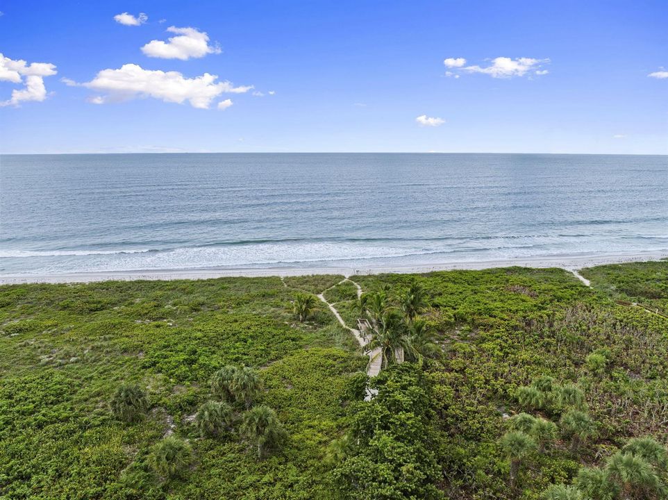 6-web-or-mls-DJI_0524