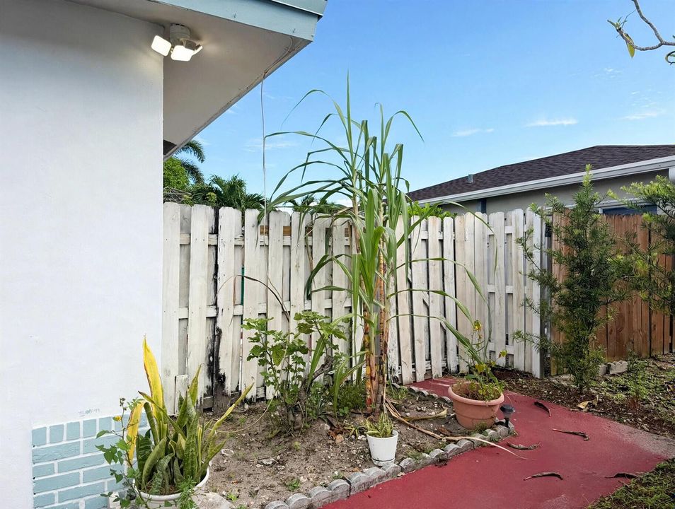 02-side-yard