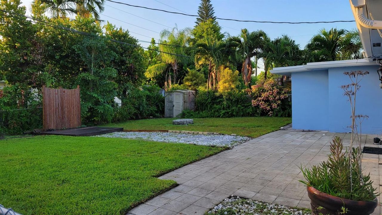 back yard a