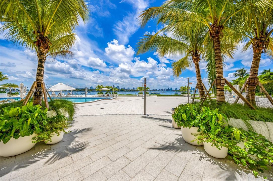 Paved patio terrace featuring mature palm trees, large integrated planters, and a swimming pool