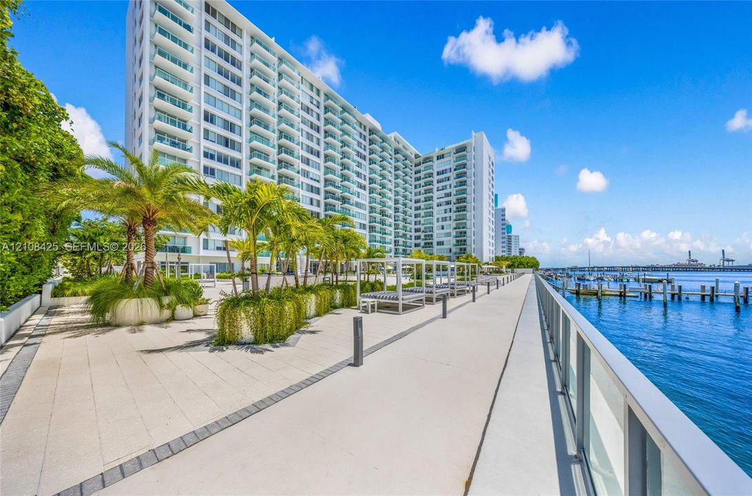High-rise waterfront exterior featuring a paved promenade, glass-panel perimeter railing, manicured palm trees in raised planters, and concrete hardscaping