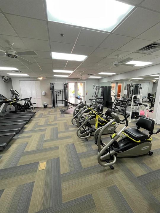 Gym