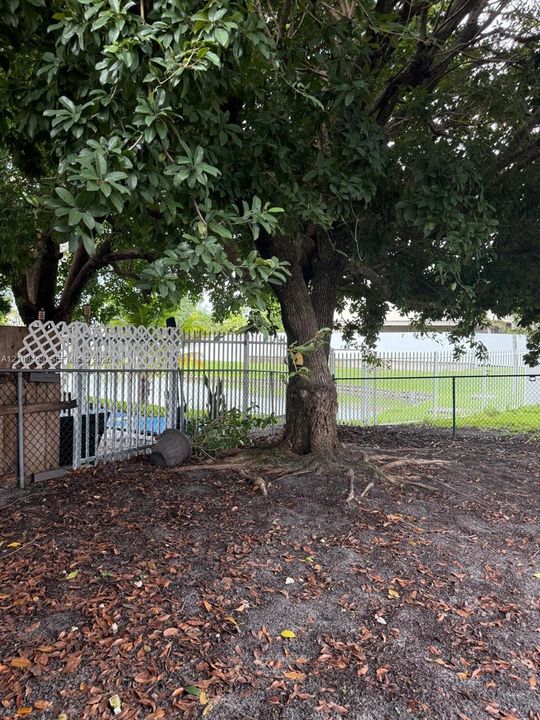 Outdoor space featuring mature shade trees, white lattice privacy fencing, and metal perimeter fencing