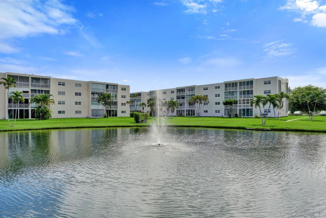 Lake view