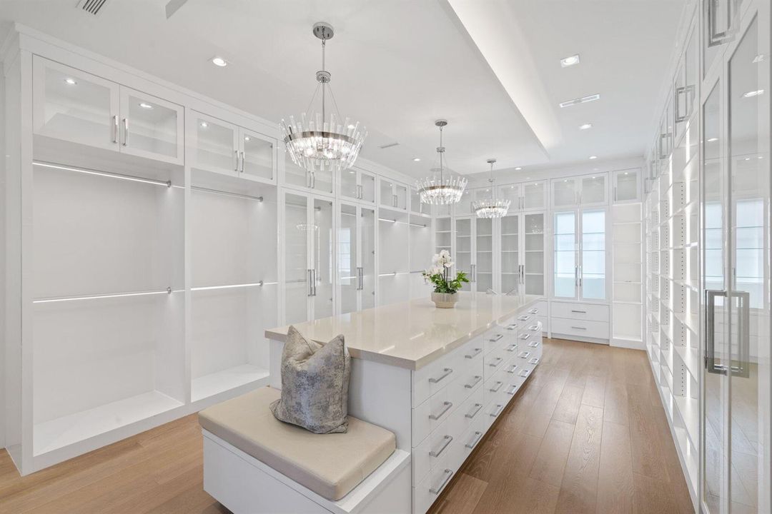 Luxurious Closet