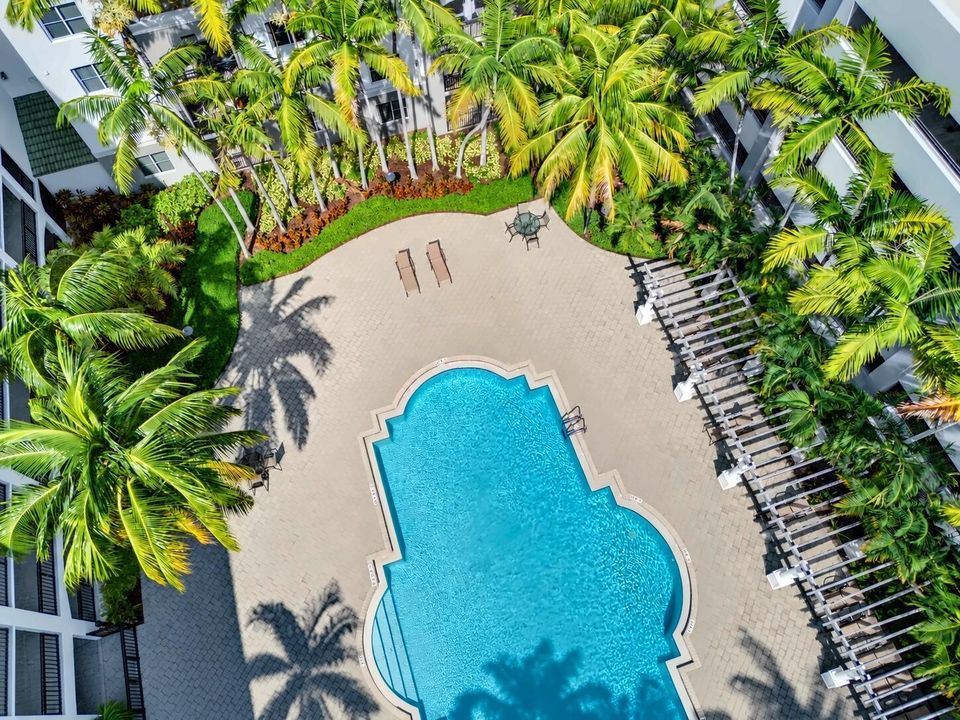 Courtyard Pool