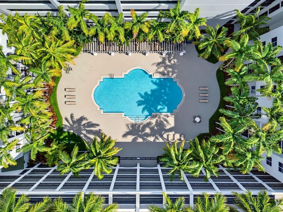 Courtyard Pool