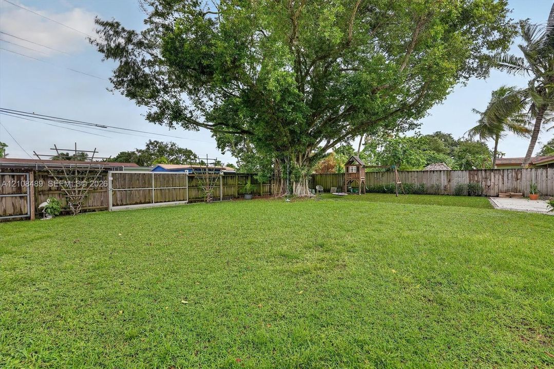 Expansive backyard featuring a large grass lawn, mature shade tree, perimeter wood fencing, and a stone-paver patio area