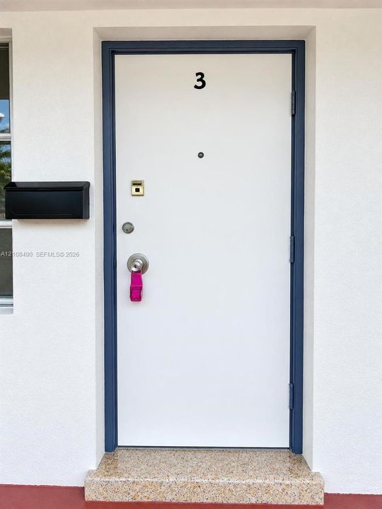 Entry featuring a white door with a dark blue frame, matte black wall-mounted mailbox, and stone-finish threshold